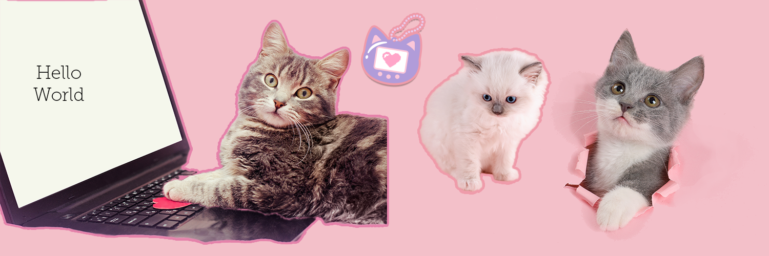 Currently Shannon banner